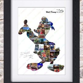 Donald Duck Inspired Photo Collage