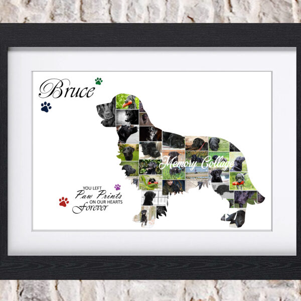 Labrador Photo Collage