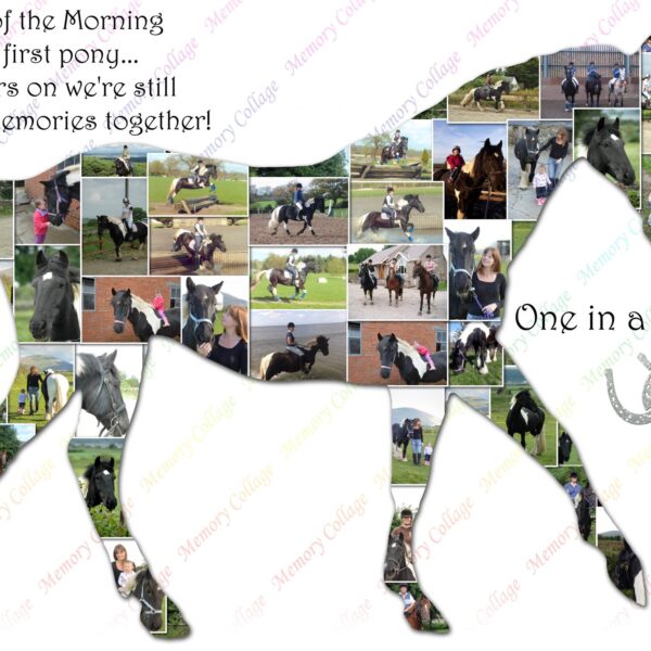 Horse Equestrian Photo Collage
