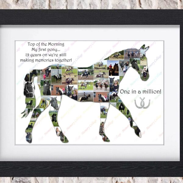 Horse Equestrian Photo Collage