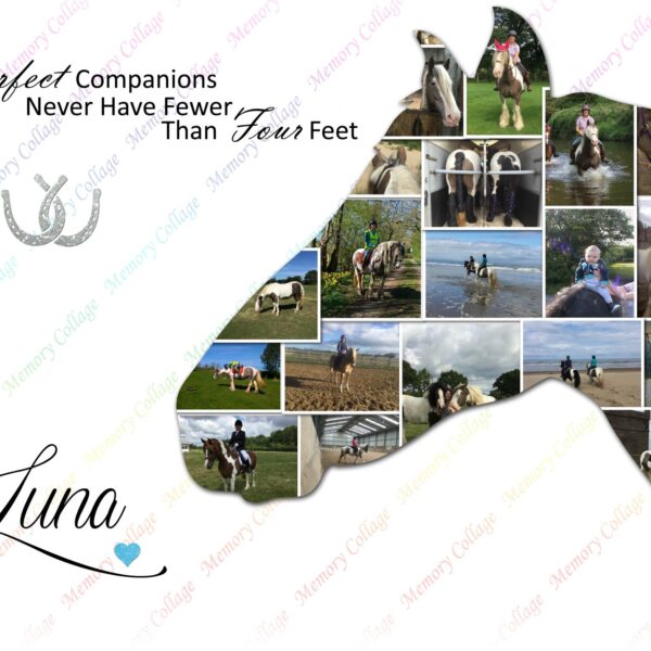 Horse Profile Photo Collage