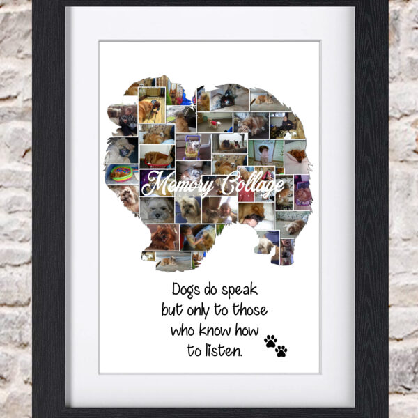 Pomeranian Photo Collage
