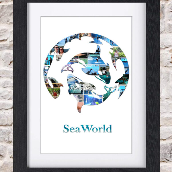 Sea World Orca Whale Photo Collage