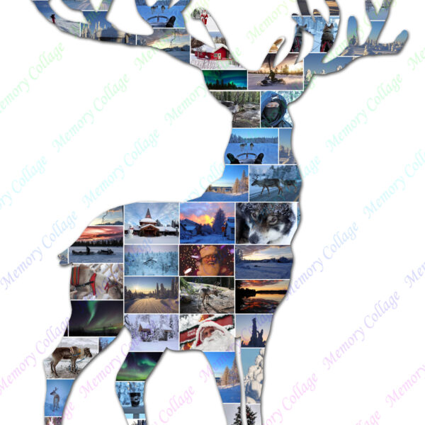 Royal Stag Lapland Finland
