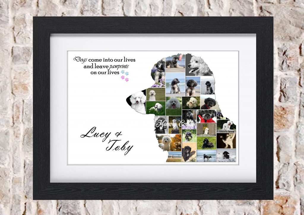 poodle photo collage