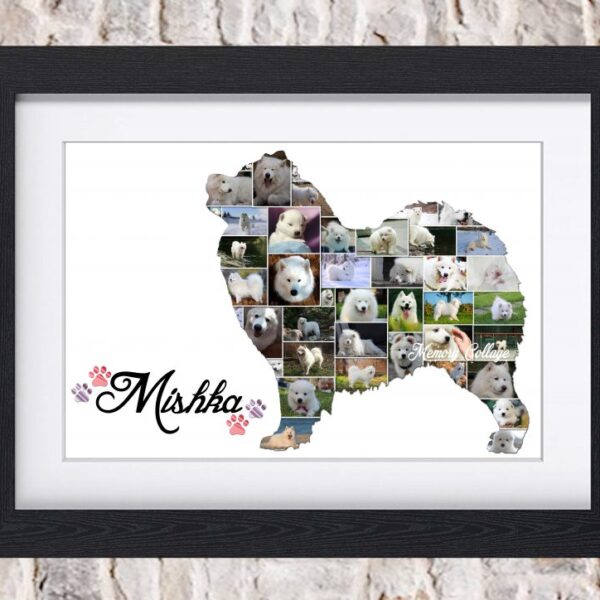 Samoyed Photo Collage