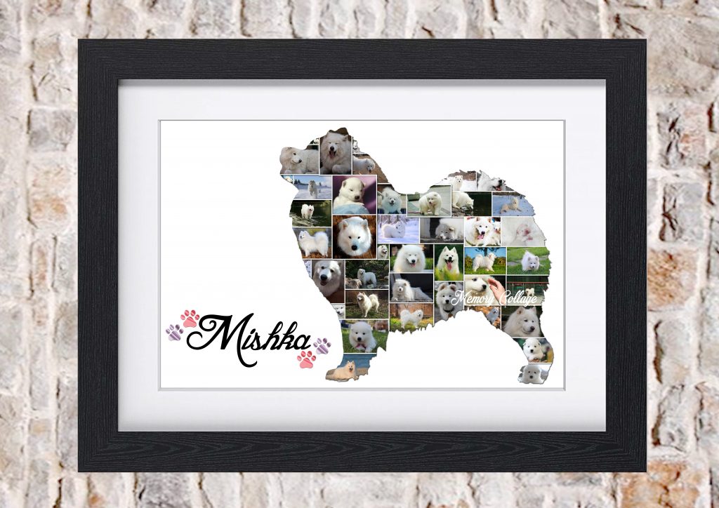 Samoyed Photo Collage