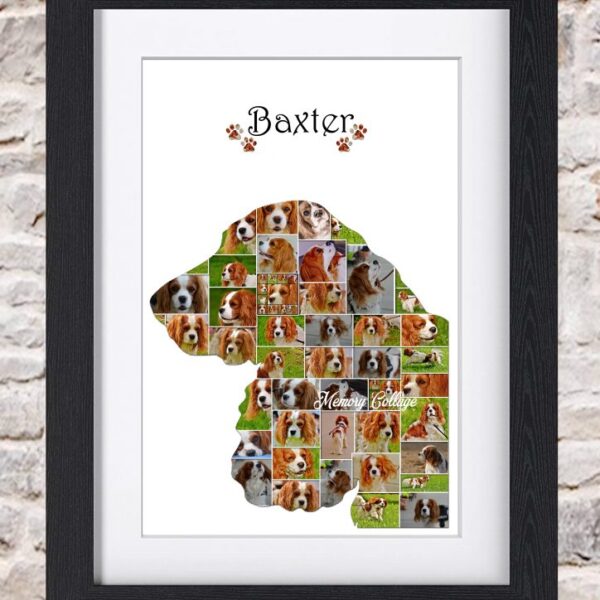 Spaniel Profile Photo Collage