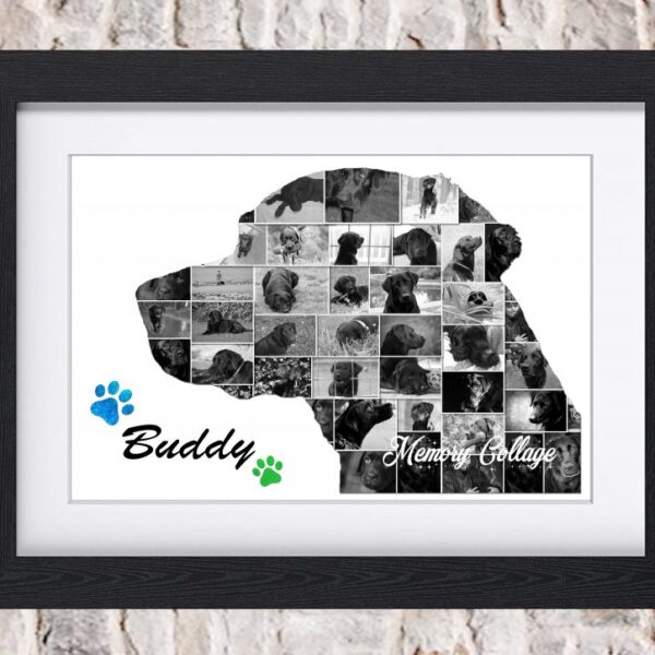 labrador photo collage
