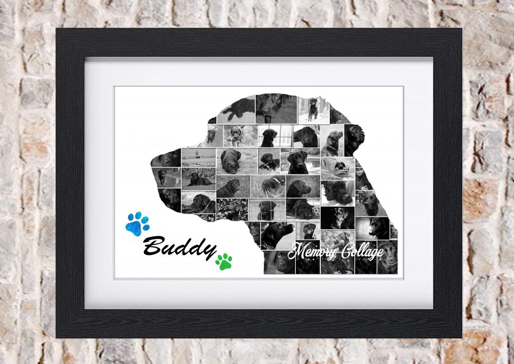 labrador photo collage