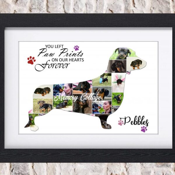 Daschund Photo Collage