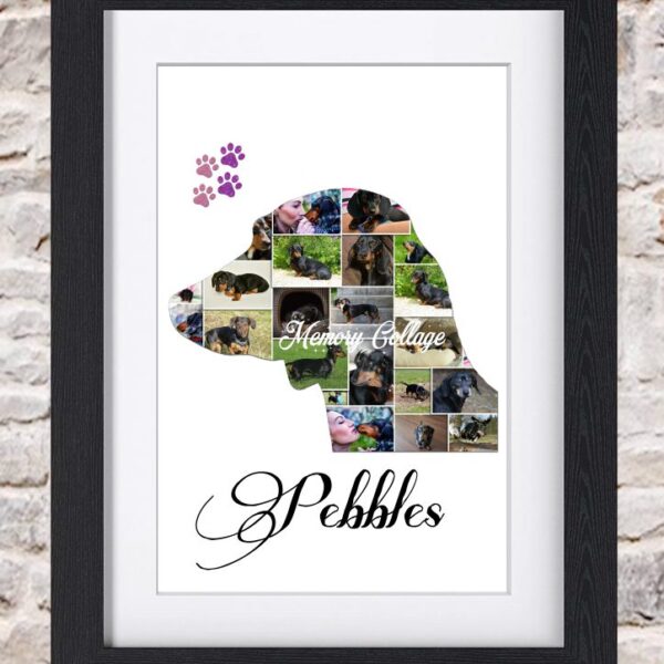 Dachshund profile photo collage