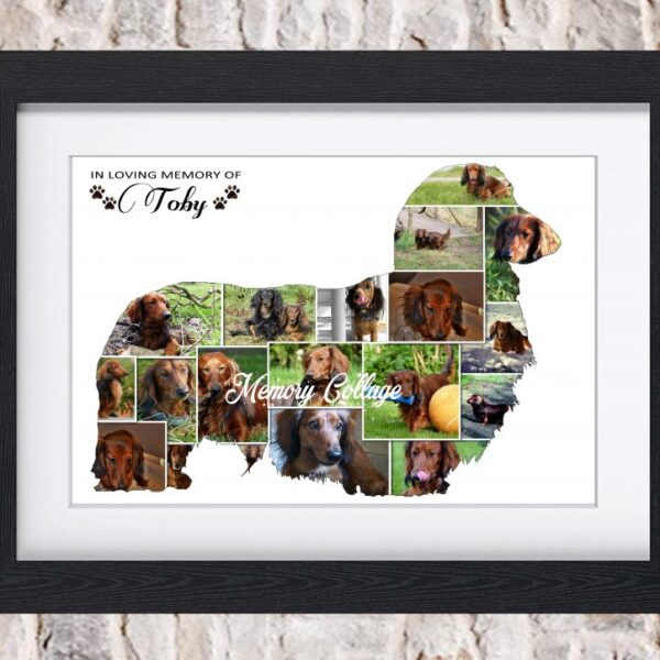 Daschund Photo Collage