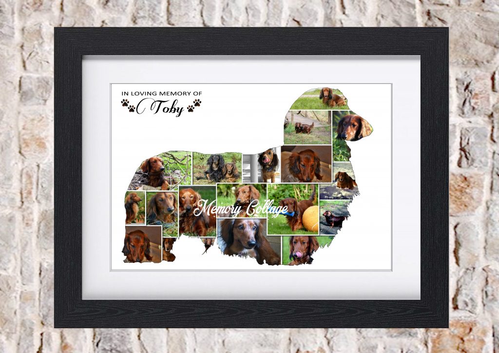 Daschund Photo Collage