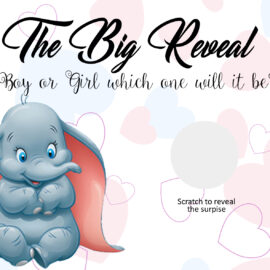 Its A Boy Its A Girl Gender Reveal Scratch Card