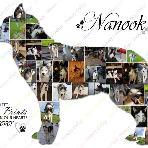 Siberian Husky Photo Collage