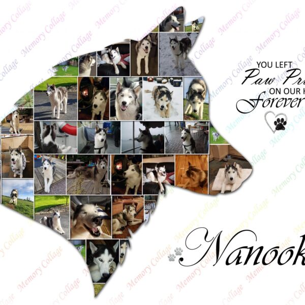 Siberian Husky Profile Photo Collage