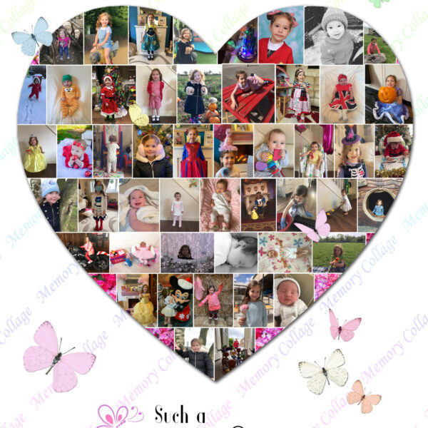 Heart Butterfly Collage