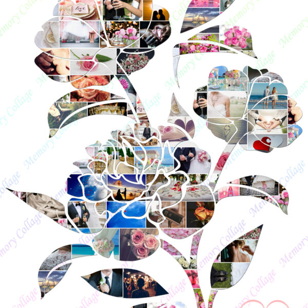 Peonies Photo Collage