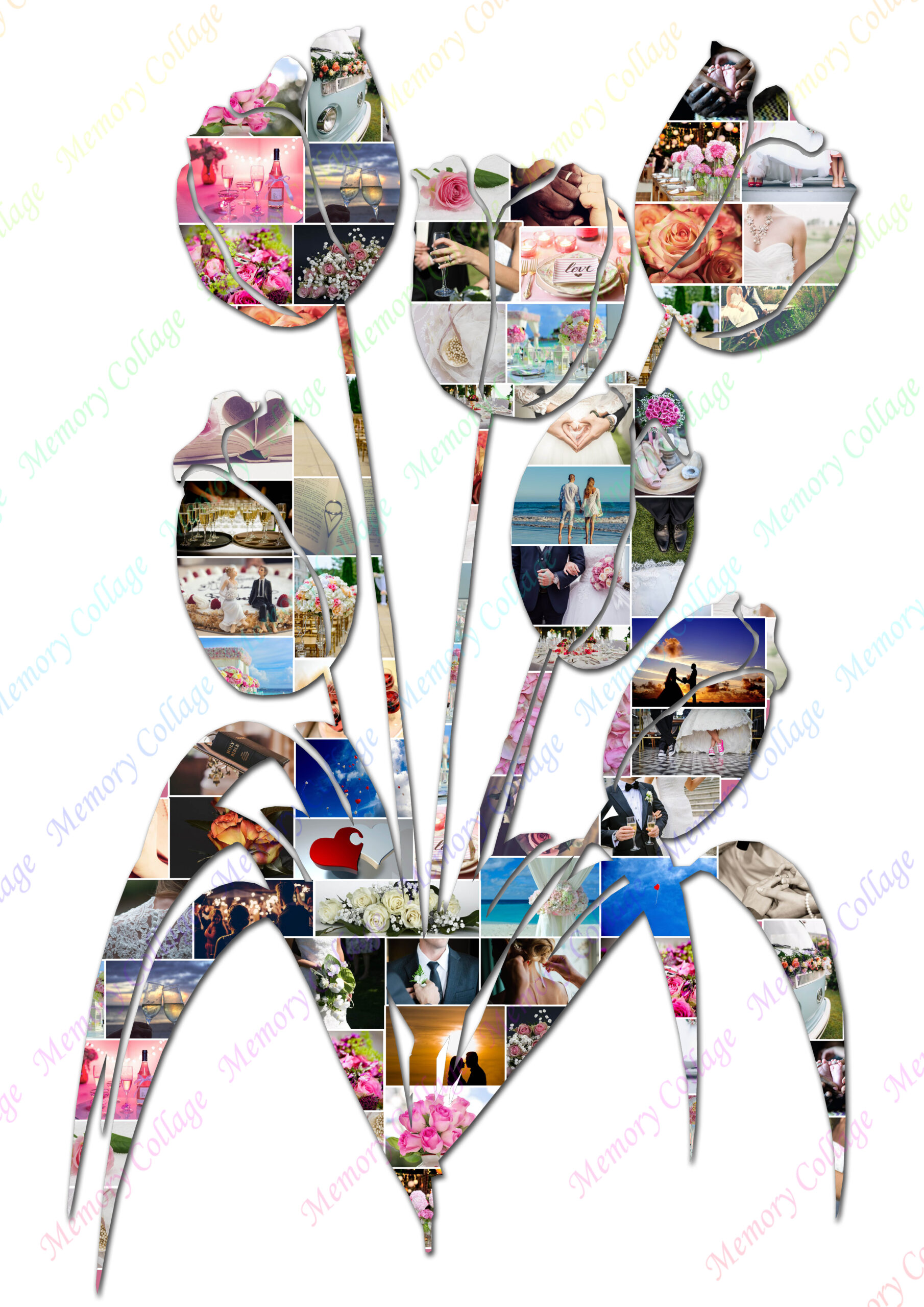 Tulips Photo Collage Tulips Photo Collage